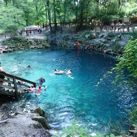 blue springs state park webcam|Live Streaming HD Webcam of Blue Spring State Park, USA